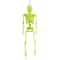 8" Glow-In-The-Dark Skeleton by Ashland®